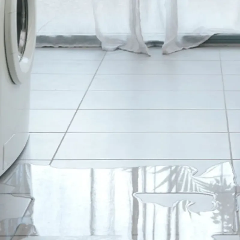 Appliance Leak Cleanup in Northampton County, NC