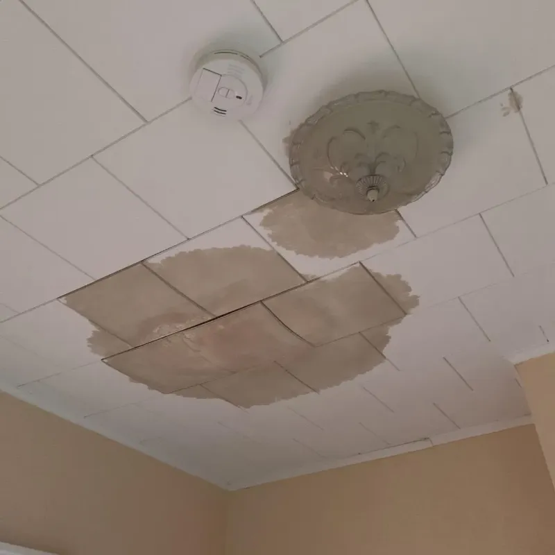 Ceiling Water Damage Repair in Northampton County, NC