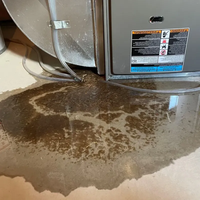 Pipe Burst and Leak Restoration in Northampton County, NC
