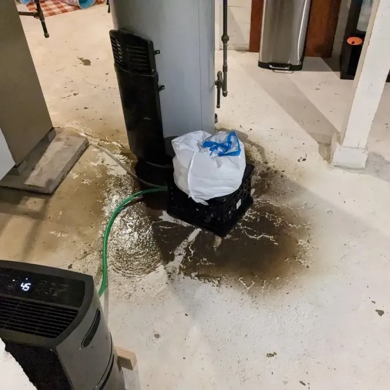 Sewage Backup Cleanup Service in Northampton County, NC